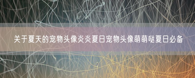 <strong>关于夏天的宠物头像炎炎夏日宠物头像萌萌哒夏日必备</strong>