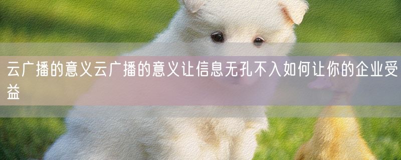 云广播的意义云广播的意义让信息无孔不入如何让你的企业受益