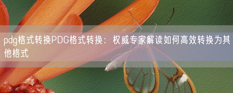 <strong>pdg格式转换pdg格式转换：权威专家解读如何高效转换为其他格式</strong>