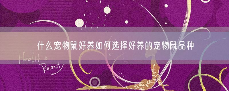 <strong>什么宠物鼠好养如何选择好养的宠物鼠品种</strong>