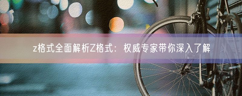 z格式全面解析z格式：权威专家带你深入了解