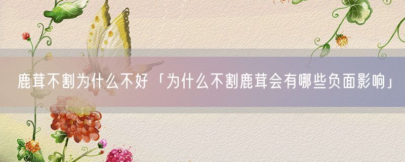 <strong>鹿茸不割为什么不好「为什么不割鹿茸会有哪些负面影响」</strong>