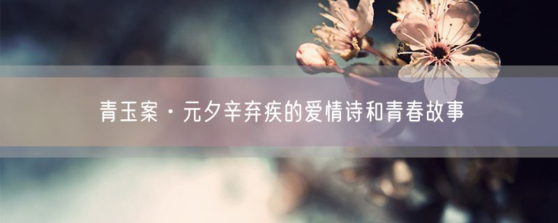青玉案·元夕辛弃疾的爱情诗和青春故事