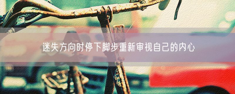 迷失方向时停下脚步重新审视自己的内心