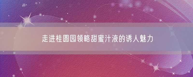 走进桂圆园领略甜蜜汁液的诱人魅力