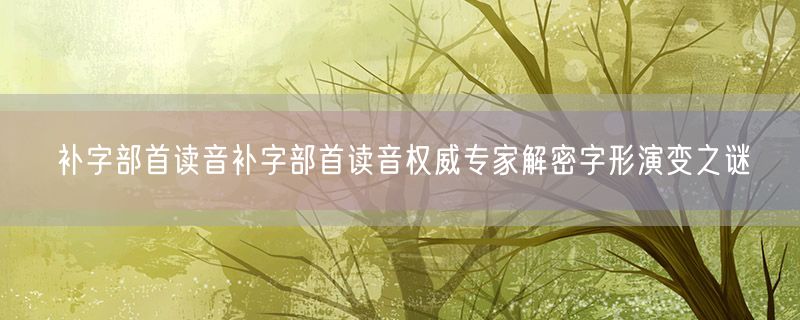 补字部首读音补字部首读音权威专家解密字形演变之谜