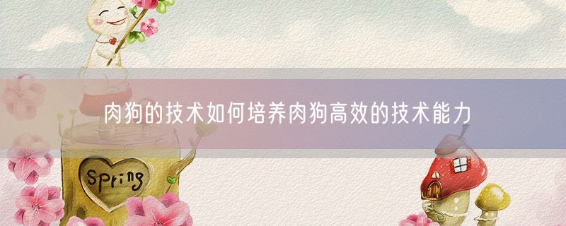 肉狗的技术如何培养肉狗高效的技术能力
