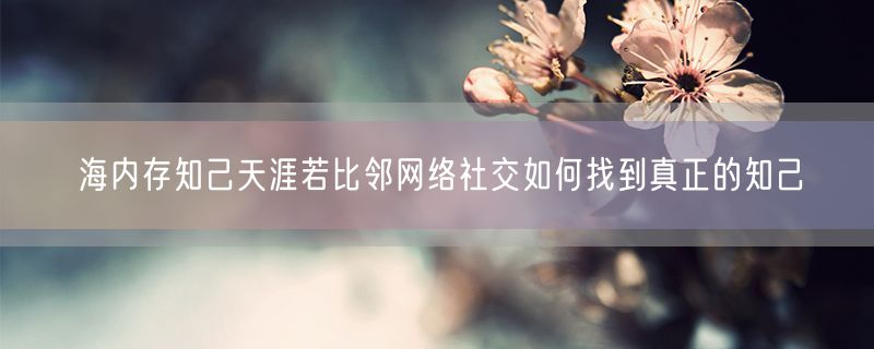 海内存知己天涯若比邻网络社交如何找到真正的知己