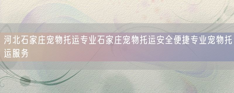 河北石家庄宠物托运专业石家庄宠物托运安全便捷专业宠物托运服务