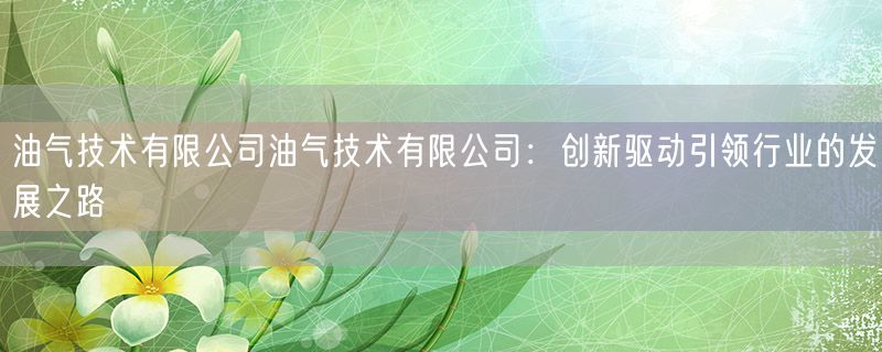 油气技术有限公司油气技术有限公司：创新驱动引领行业的发展之路