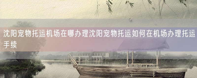 沈阳宠物托运机场在哪办理沈阳宠物托运如何在机场办理托运手续