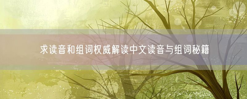 求读音和组词权威解读中文读音与组词秘籍