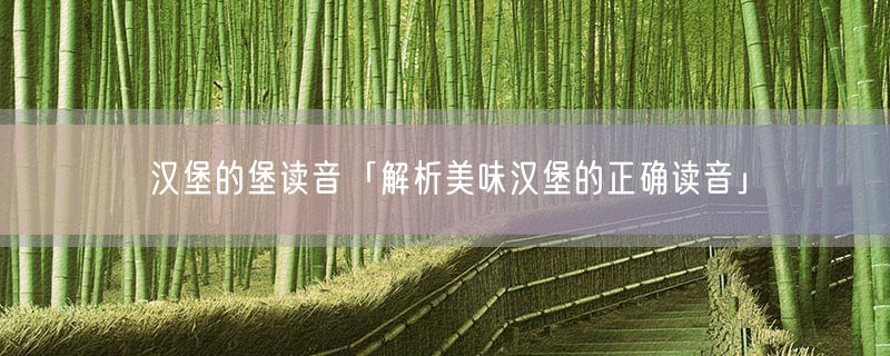汉堡的堡读音「解析美味汉堡的正确读音」