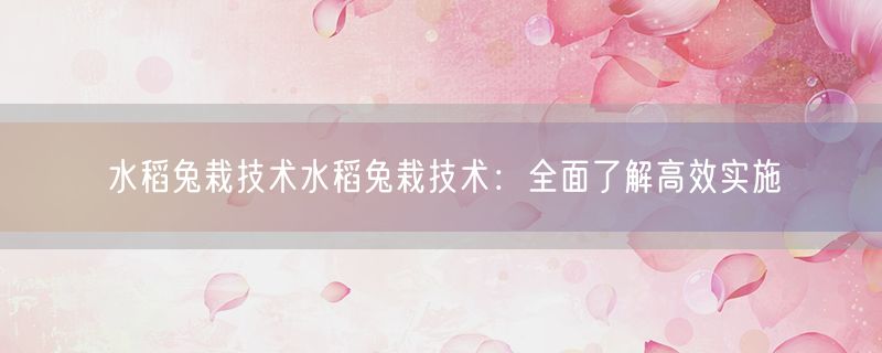 水稻兔栽技术水稻兔栽技术:全面了解高效实施