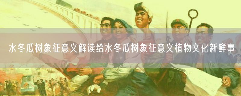 水冬瓜树象征意义解读给水冬瓜树象征意义植物文化新鲜事
